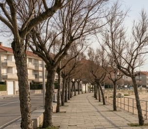 DK Park pour les sportifs