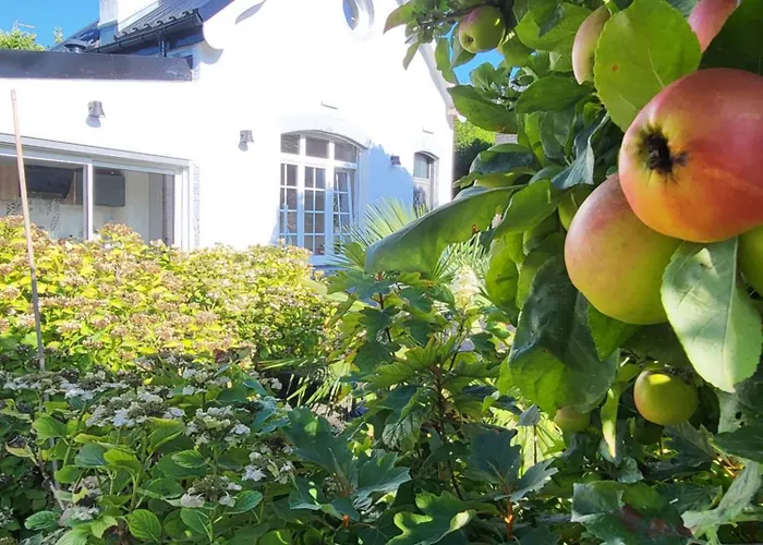 La petite maison blanche